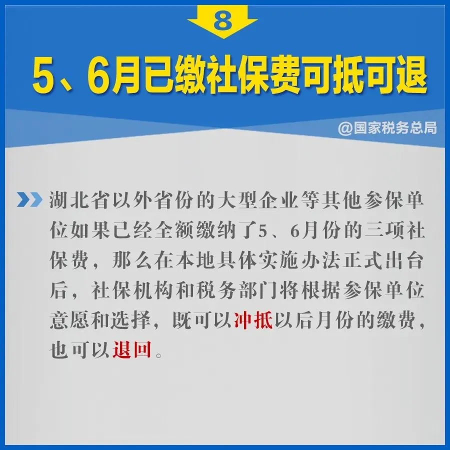 49.webp.jpg