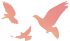 fc69b6ed9d8183c13e33dbbda49b95cf.png fc69b6ed9d8183c13e33dbbda49b95cf.png