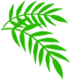 ed725c91c3b4f2bce98c84b2ad09797c.png ed725c91c3b4f2bce98c84b2ad09797c.png